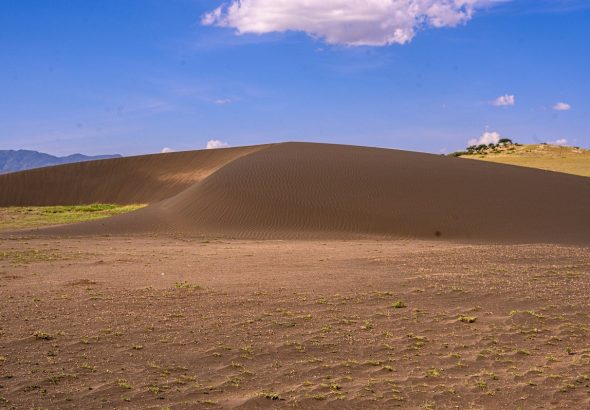 e9e0e0f1-97d8-4d86-b194-3941b669ed83